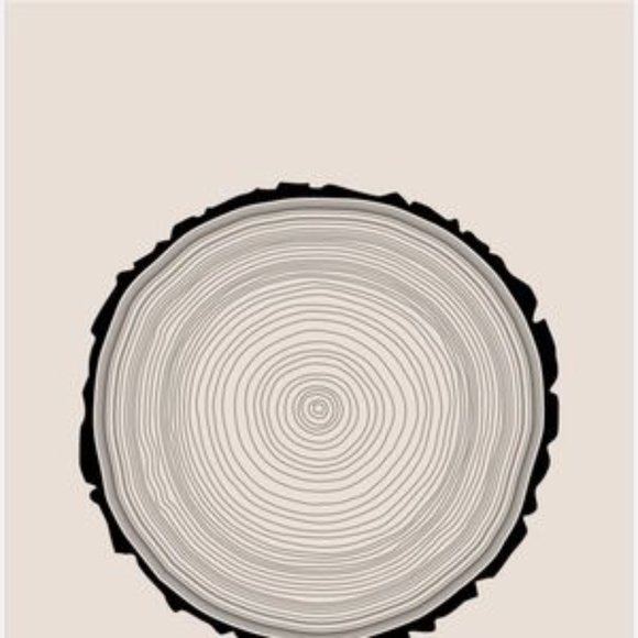 Tree trunk slice Contemporary Graphic Art Print - Picture 2 of 3